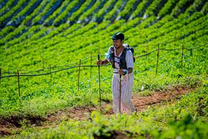 BIB: 
                            <button type="button" onclick="openModal(19161905)" class="btn btn-primary btn-sm float-right btn-popup" data-toggle="modal" data-target=".modal-high-quality">
                        <i class="fas fa-shopping-cart"></i> Add to Cart
                    </button>
                                            <button type="button" onclick="isThisMe(19161905, true)" class="btn btn-success btn-sm float-right btn-popup btn-isme hidden" data-toggle="tooltip" data-placement="bottom" title="นี่คือรูปของคุณใช่ไหม คลิกที่นี่เพื่อเอาเข้าอัลบั้ม">
                        <i class="fas fa-plus"></i> Add to album
                    </button>
                    <button type="button" onclick="isThisMe(19161905, false)" class="btn btn-warning btn-sm float-right btn-popup btn-isnotme hidden">
                        <i class="fas fa-ban"></i> Remove from album
                    </button>